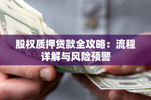 北京股权质押贷款全攻略：流程详解与风险预警